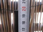 talas34 011r.jpg