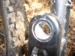 DSCN1790.jpg