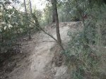 IMG_0263.JPG