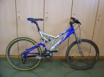 bici2.jpg