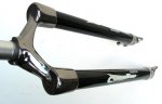Axima Carbon gabel.jpg