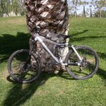 DSCN3615.jpg