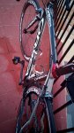 IMG_20160113_164430.jpg