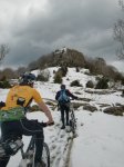 nevat.JPG