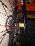IMG_20160117_183435.jpg