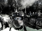 los tostsaeros y los bicivolodores nos vamos con los gurugú 041.JPG