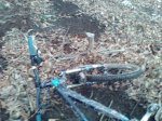IMG_20160119_103829_1CS.jpg
