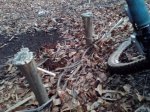 IMG_20160119_103839.jpg