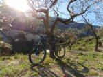 IMG-20160116-WA0002.jpg