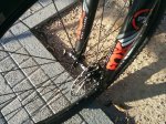 IMG-20160120-WA0020.jpg