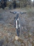 IMG_20160121_172618.jpg