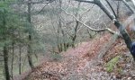 IMG-20160123-WA0002.jpg