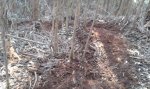 20151213_125406.jpg