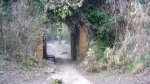PANTANO Y FLORESTA 001.JPG