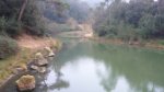 PANTANO Y FLORESTA 010.JPG