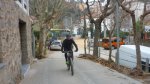 PANTANO Y FLORESTA 016.JPG