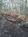 20160123_171606.jpg
