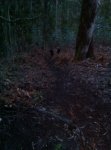 IMG-20160123-WA0015.jpg