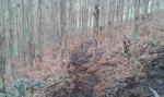 20160109_112840.jpg