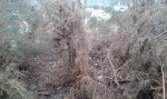 20160110_102938.jpg