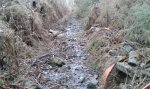 20160110_110027.jpg