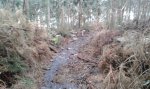 20160110_110034.jpg