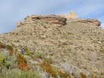 P1020729-1.jpg
