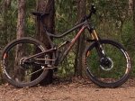 tallboy lt (2).jpg