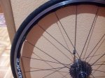 IMG_20160121_105634_1.jpg