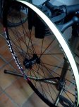 IMG_20160125_140247.jpg