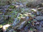 DSCN3833.JPG
