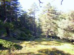 DSCN3839.JPG