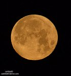 MIentras la luna se va escondiendo.jpg