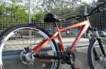 DSC00442wef.jpg
