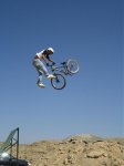 Tailwhip2.jpg