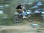 DSC04687.jpg