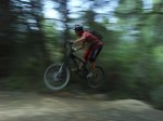 DSC04689.jpg