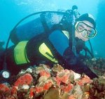 buceo_3_g.jpg