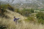 DSC07774.jpg