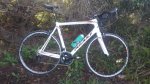 thumb_20160126_101545_1024.jpg