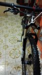 IMG_20160101_142425.jpg