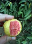 IMG_20160125_124641.jpg