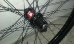 20160129_125338.jpg