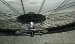 20160129_125933.jpg