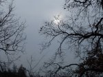 P1000400.JPG