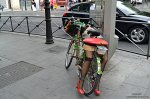DSC_7876.jpg