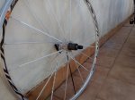 IMG_20160130_134545.jpg