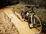 IMG_20160130_130959-01.jpeg