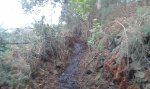 20160110_113106.jpg