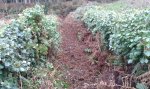 20160110_120216.jpg